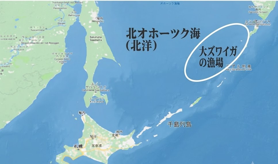 大ズワイガニの漁場 - 北オホーツク海(北洋)の地図