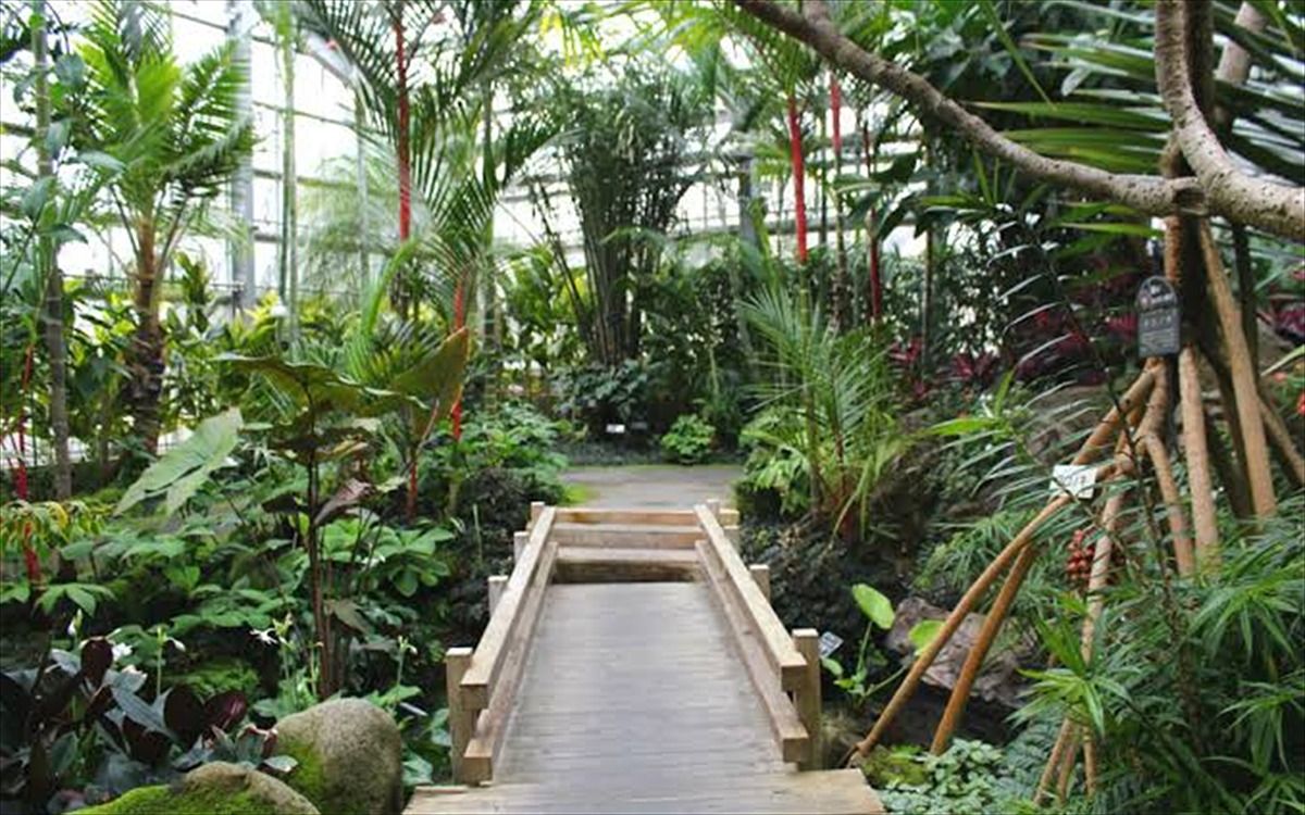 宇治市植物公園の観賞温室