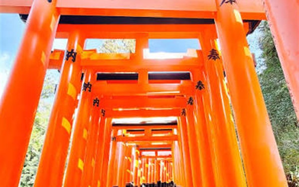 伏見稲荷大社の千本鳥居