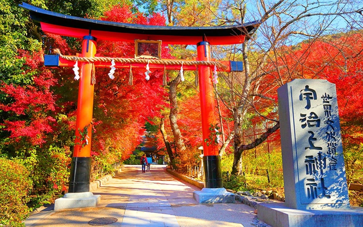宇治上神社の鳥居と紅葉